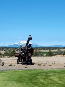 2017 07 20 12.58.03 e1500861260479 225x300