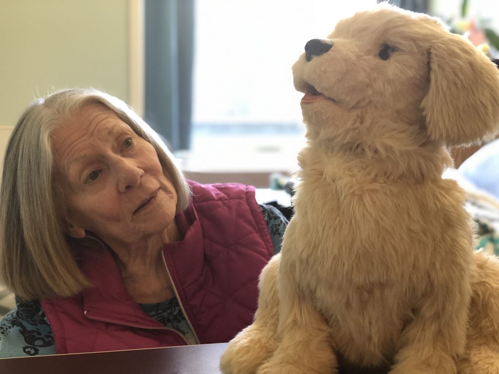 F892E54B B6F0 4259 9481 6EB95A7A0B01 1 201 a edited 1024x768